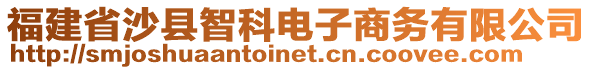 福建省沙县智科电子商务有限公司