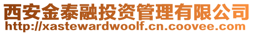 西安金泰融投資管理有限公司