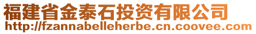 福建省金泰石投資有限公司