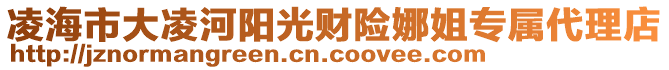 凌海市大凌河陽光財(cái)險(xiǎn)娜姐專屬代理店