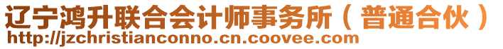 遼寧鴻升聯(lián)合會(huì)計(jì)師事務(wù)所（普通合伙）