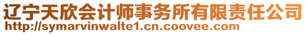 遼寧天欣會計師事務(wù)所有限責(zé)任公司