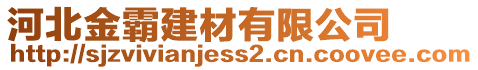 河北金霸建材有限公司