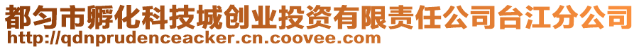 都勻市孵化科技城創(chuàng)業(yè)投資有限責(zé)任公司臺(tái)江分公司