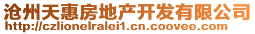 滄州天惠房地產(chǎn)開發(fā)有限公司