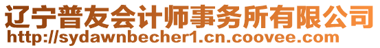 遼寧普友會計師事務(wù)所有限公司