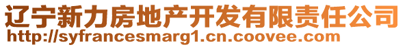 遼寧新力房地產(chǎn)開(kāi)發(fā)有限責(zé)任公司