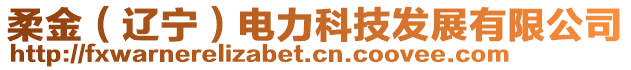 柔金（遼寧）電力科技發(fā)展有限公司