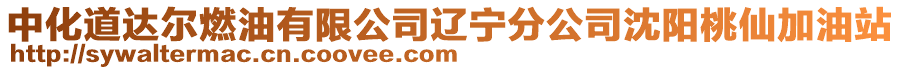 中化道達爾燃油有限公司遼寧分公司沈陽桃仙加油站