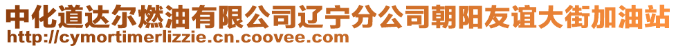 中化道达尔燃油有限公司辽宁分公司朝阳友谊大街加油站