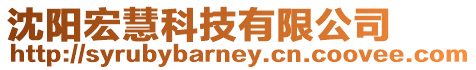 沈陽宏慧科技有限公司