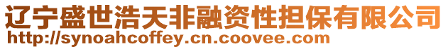 遼寧盛世浩天非融資性擔(dān)保有限公司