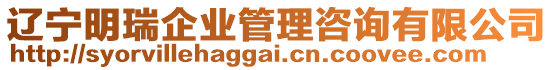 遼寧明瑞企業(yè)管理咨詢有限公司