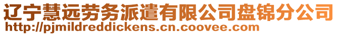 遼寧慧遠勞務派遣有限公司盤錦分公司