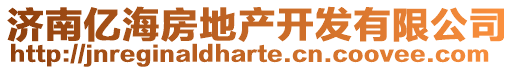 濟南億海房地產開發(fā)有限公司