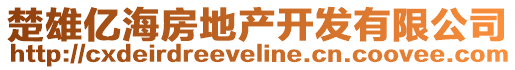 楚雄億海房地產(chǎn)開(kāi)發(fā)有限公司