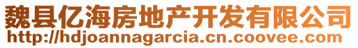 魏縣億海房地產(chǎn)開(kāi)發(fā)有限公司