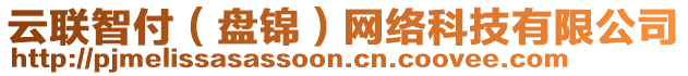 云聯(lián)智付（盤錦）網(wǎng)絡(luò)科技有限公司