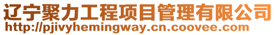 遼寧聚力工程項目管理有限公司