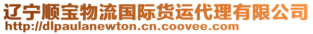 遼寧順寶物流國(guó)際貨運(yùn)代理有限公司