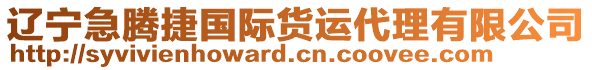 遼寧急騰捷國際貨運代理有限公司