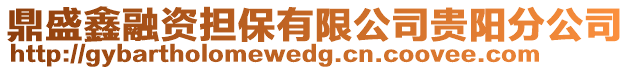 鼎盛鑫融資擔保有限公司貴陽分公司