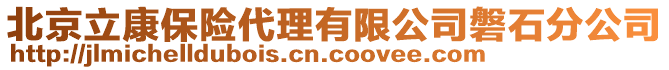 北京立康保險代理有限公司磐石分公司