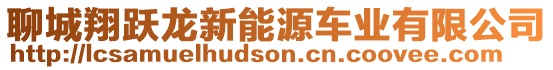 聊城翔躍龍新能源車業(yè)有限公司