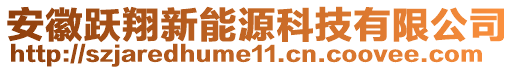 安徽躍翔新能源科技有限公司