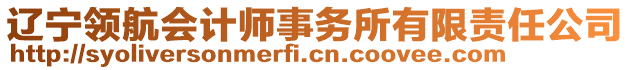 遼寧領(lǐng)航會(huì)計(jì)師事務(wù)所有限責(zé)任公司