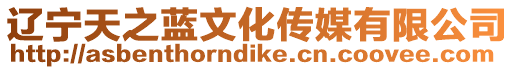 遼寧天之藍文化傳媒有限公司
