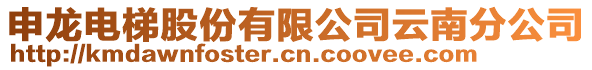 申龍電梯股份有限公司云南分公司