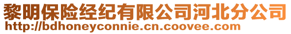 黎明保險經(jīng)紀(jì)有限公司河北分公司