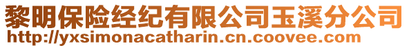 黎明保險(xiǎn)經(jīng)紀(jì)有限公司玉溪分公司