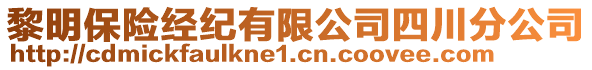 黎明保險經(jīng)紀(jì)有限公司四川分公司