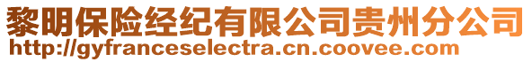 黎明保險(xiǎn)經(jīng)紀(jì)有限公司貴州分公司