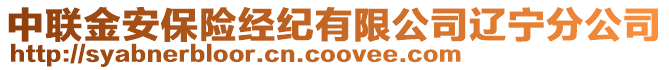 中聯(lián)金安保險經(jīng)紀(jì)有限公司遼寧分公司