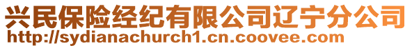 興民保險(xiǎn)經(jīng)紀(jì)有限公司遼寧分公司