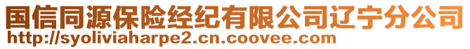 國(guó)信同源保險(xiǎn)經(jīng)紀(jì)有限公司遼寧分公司