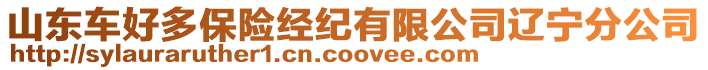 山東車好多保險經(jīng)紀(jì)有限公司遼寧分公司