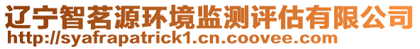 遼寧智茗源環(huán)境監(jiān)測評估有限公司