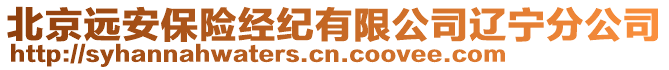 北京遠(yuǎn)安保險(xiǎn)經(jīng)紀(jì)有限公司遼寧分公司