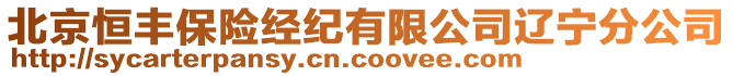 北京恒豐保險經(jīng)紀有限公司遼寧分公司