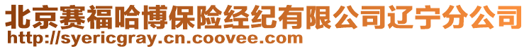 北京赛福哈博保险经纪有限公司辽宁分公司