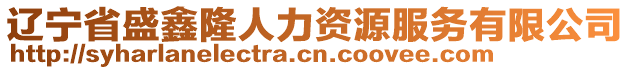 遼寧省盛鑫隆人力資源服務(wù)有限公司