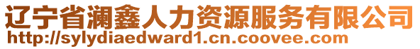 遼寧省瀾鑫人力資源服務(wù)有限公司