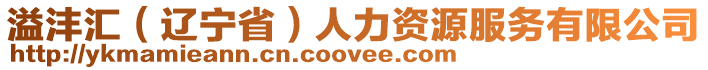 溢灃匯（遼寧省）人力資源服務(wù)有限公司