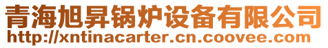 青海旭昇鍋爐設備有限公司