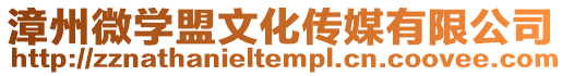 漳州微學(xué)盟文化傳媒有限公司
