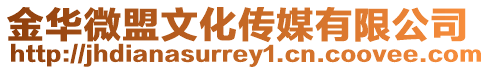 金華微盟文化傳媒有限公司